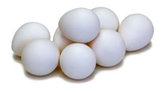 Bobwhite Quail Eggs